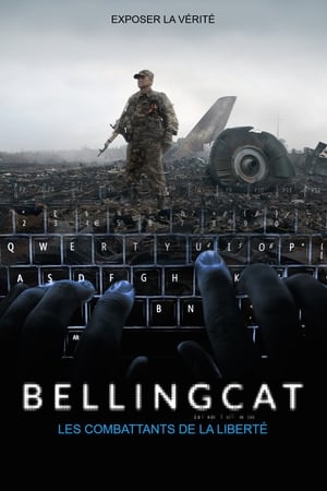 En dvd sur amazon Bellingcat: Truth in a Post-Truth World