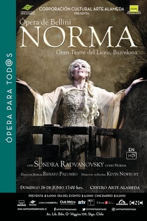 En dvd sur amazon Bellini: Norma