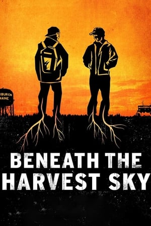 En dvd sur amazon Beneath the Harvest Sky