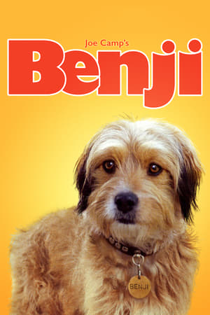 En dvd sur amazon Benji