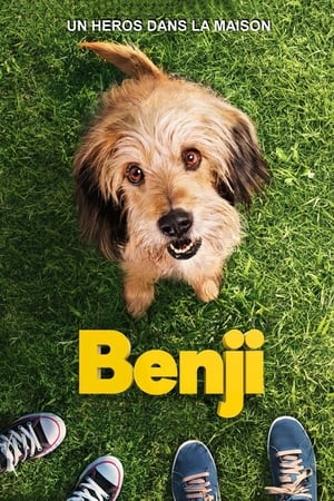En dvd sur amazon Benji