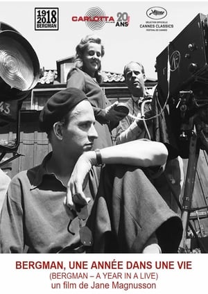 En dvd sur amazon Bergman - ett år, ett liv