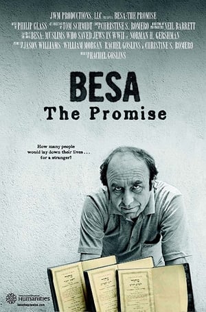 En dvd sur amazon Besa: The Promise