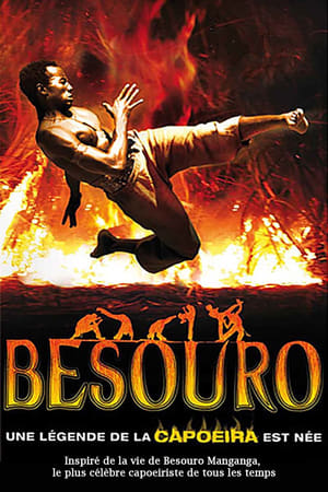 En dvd sur amazon Besouro