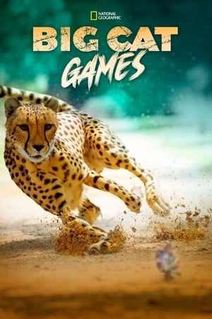 En dvd sur amazon Big Cat Games