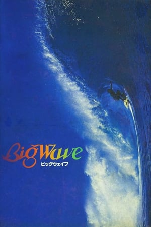 En dvd sur amazon Big Wave