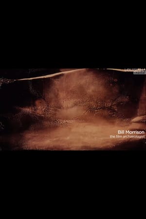 En dvd sur amazon Bill Morrison: The Film Archaeologist