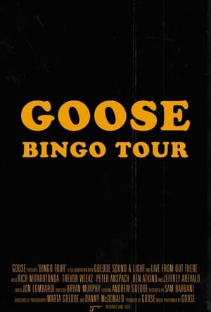 En dvd sur amazon Bingo Tour