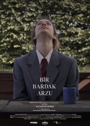 En dvd sur amazon Bir Bardak Arzu