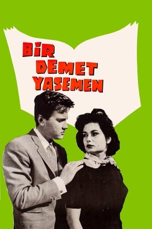 En dvd sur amazon Bir Demet Yasemen