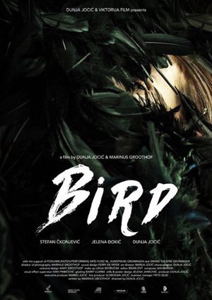 En dvd sur amazon Bird
