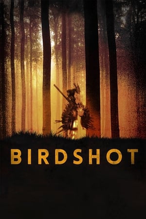 En dvd sur amazon Birdshot
