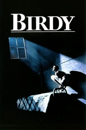 En dvd sur amazon Birdy