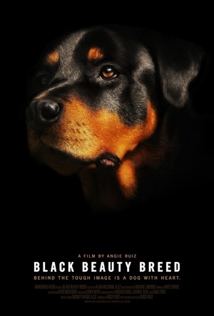 En dvd sur amazon Black Beauty Breed