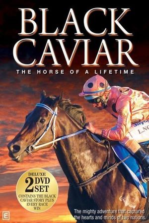 En dvd sur amazon Black Caviar - The Horse of a Lifetime
