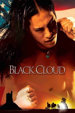En dvd sur amazon Black Cloud