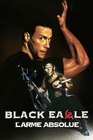 En dvd sur amazon Black Eagle