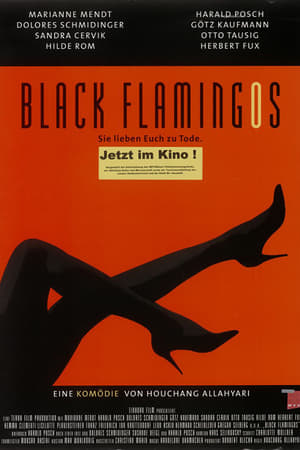 En dvd sur amazon Black Flamingos - Sie lieben euch zu Tode