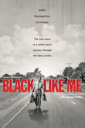 En dvd sur amazon Black Like Me