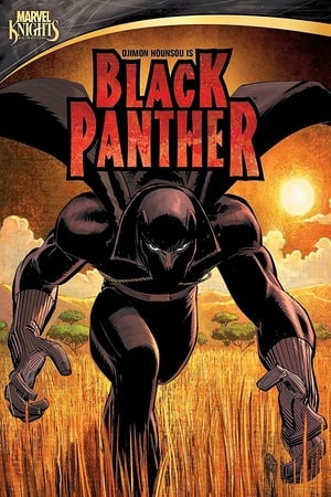 En dvd sur amazon Black Panther