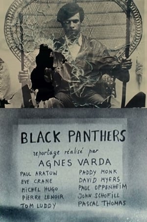 En dvd sur amazon Black Panthers