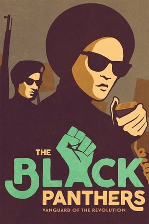 En dvd sur amazon The Black Panthers: Vanguard of the Revolution