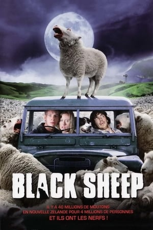 En dvd sur amazon Black Sheep