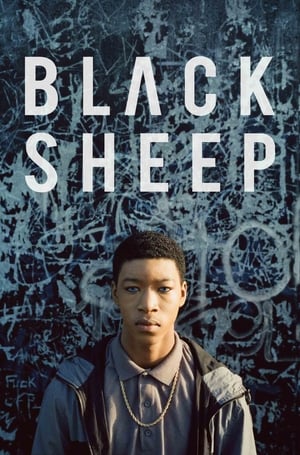 En dvd sur amazon Black Sheep