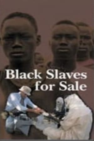 En dvd sur amazon Black Slaves for Sale