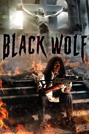 En dvd sur amazon Black Wolf