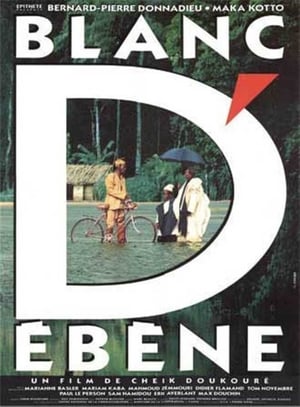 En dvd sur amazon Blanc d'ébène