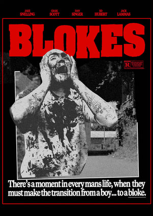 En dvd sur amazon Blokes
