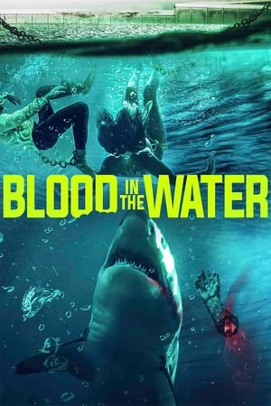 En dvd sur amazon Blood in the Water