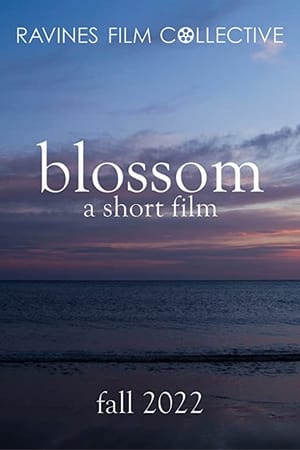 En dvd sur amazon Blossom