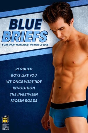 En dvd sur amazon Blue Briefs