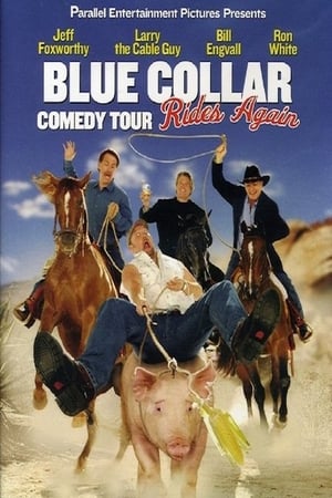 En dvd sur amazon Blue Collar Comedy Tour Rides Again
