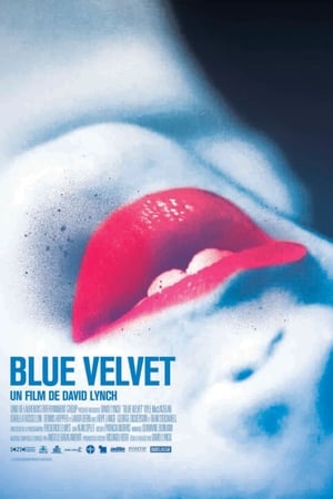 En dvd sur amazon Blue Velvet