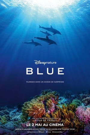 En dvd sur amazon Dolphin Reef
