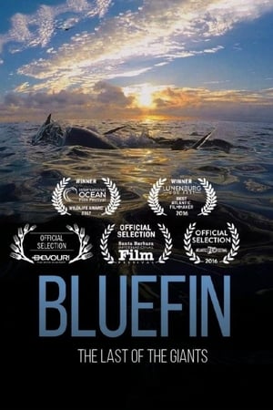En dvd sur amazon Bluefin