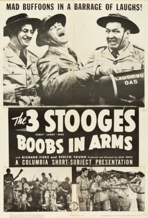 En dvd sur amazon Boobs in Arms