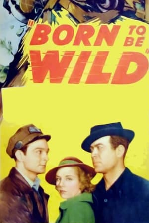 En dvd sur amazon Born to Be Wild