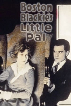 En dvd sur amazon Boston Blackie's Little Pal