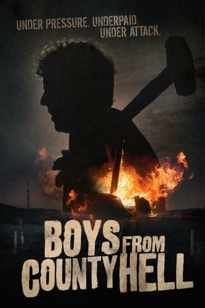 En dvd sur amazon Boys from County Hell