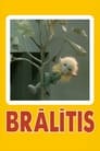 Brālītis