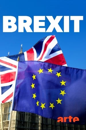 En dvd sur amazon Brexit: Das Endspiel