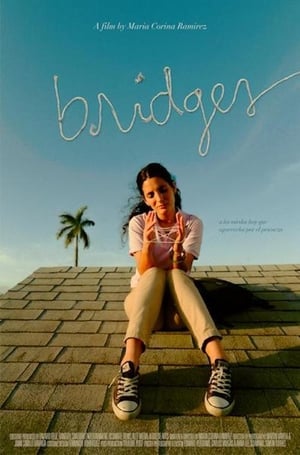 En dvd sur amazon Bridges