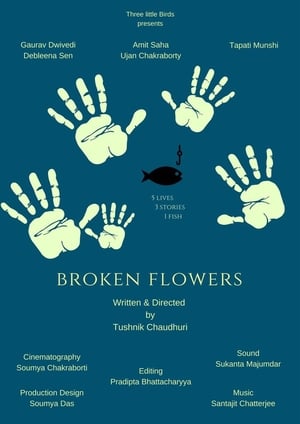 En dvd sur amazon Broken Flowers