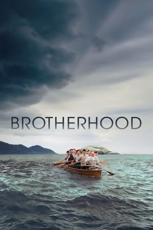 En dvd sur amazon Brotherhood