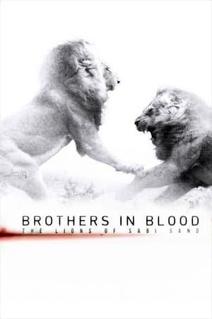 En dvd sur amazon Brothers in Blood: The Lions of Sabi Sand