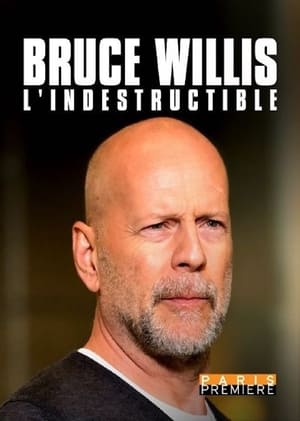 En dvd sur amazon Bruce Willis, l'indestructible